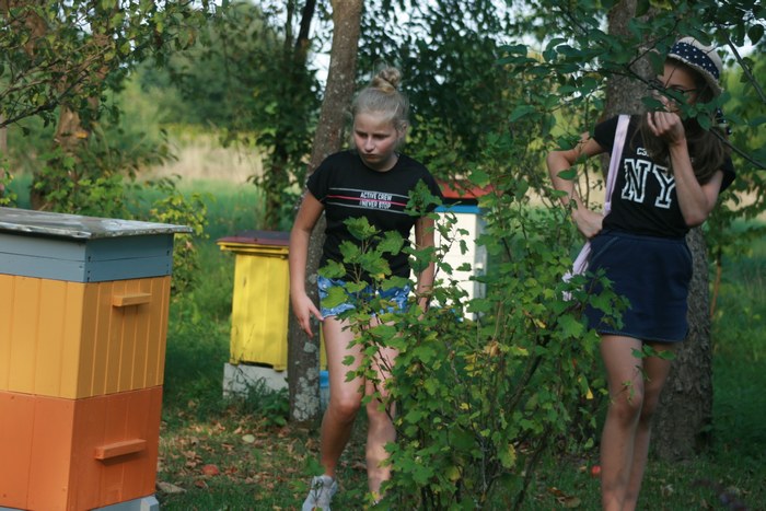 dzieci w pasiece w Bielińcu 2019