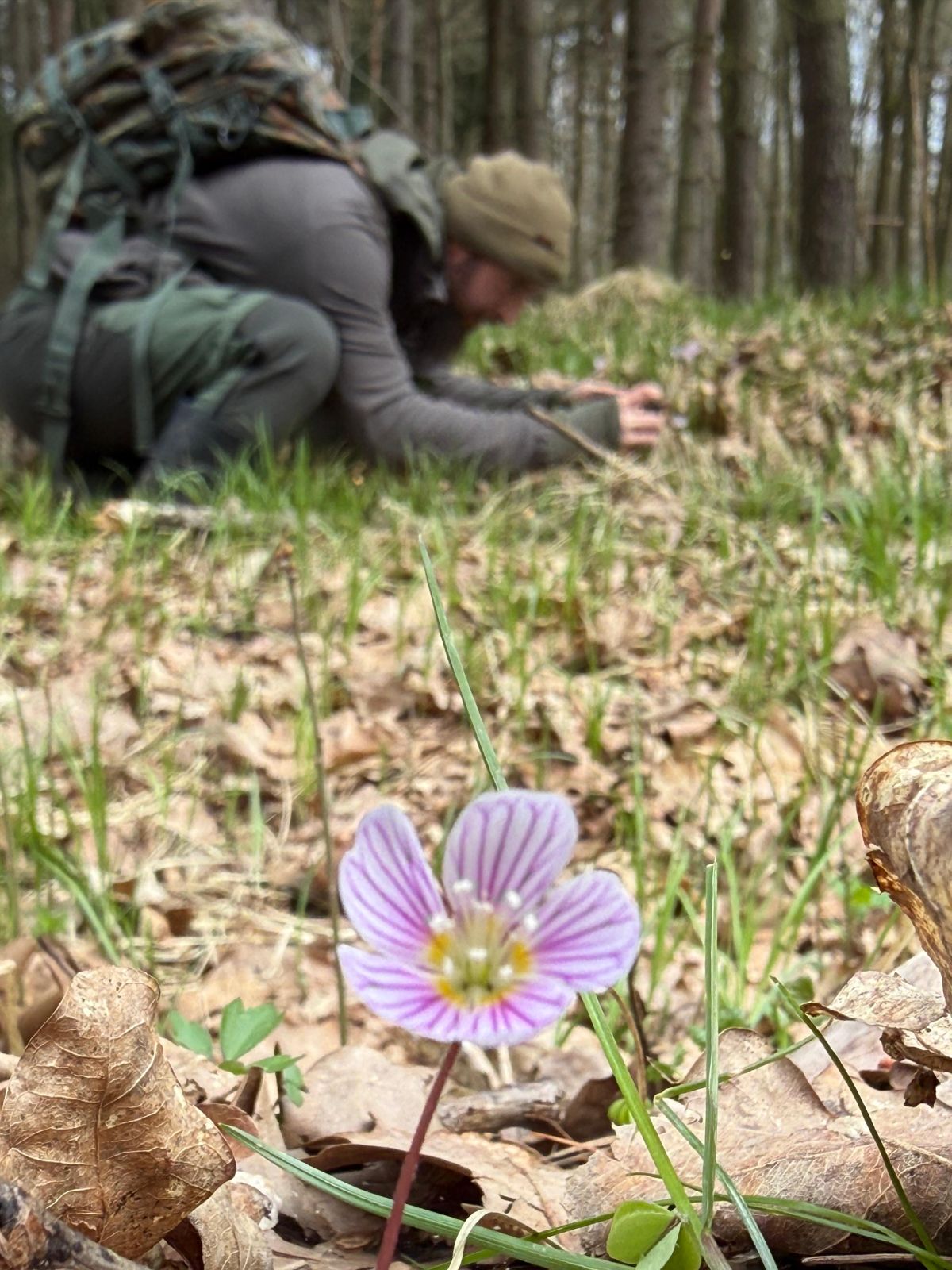 Mikołaj Siemaszko przyrodnik