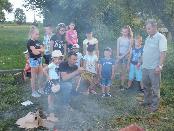 poznawanie pracy w pasiece w Bielińcu