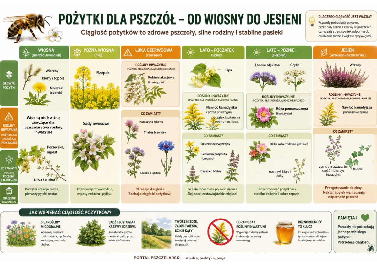 pożytki dla pszcz&oacute;ł