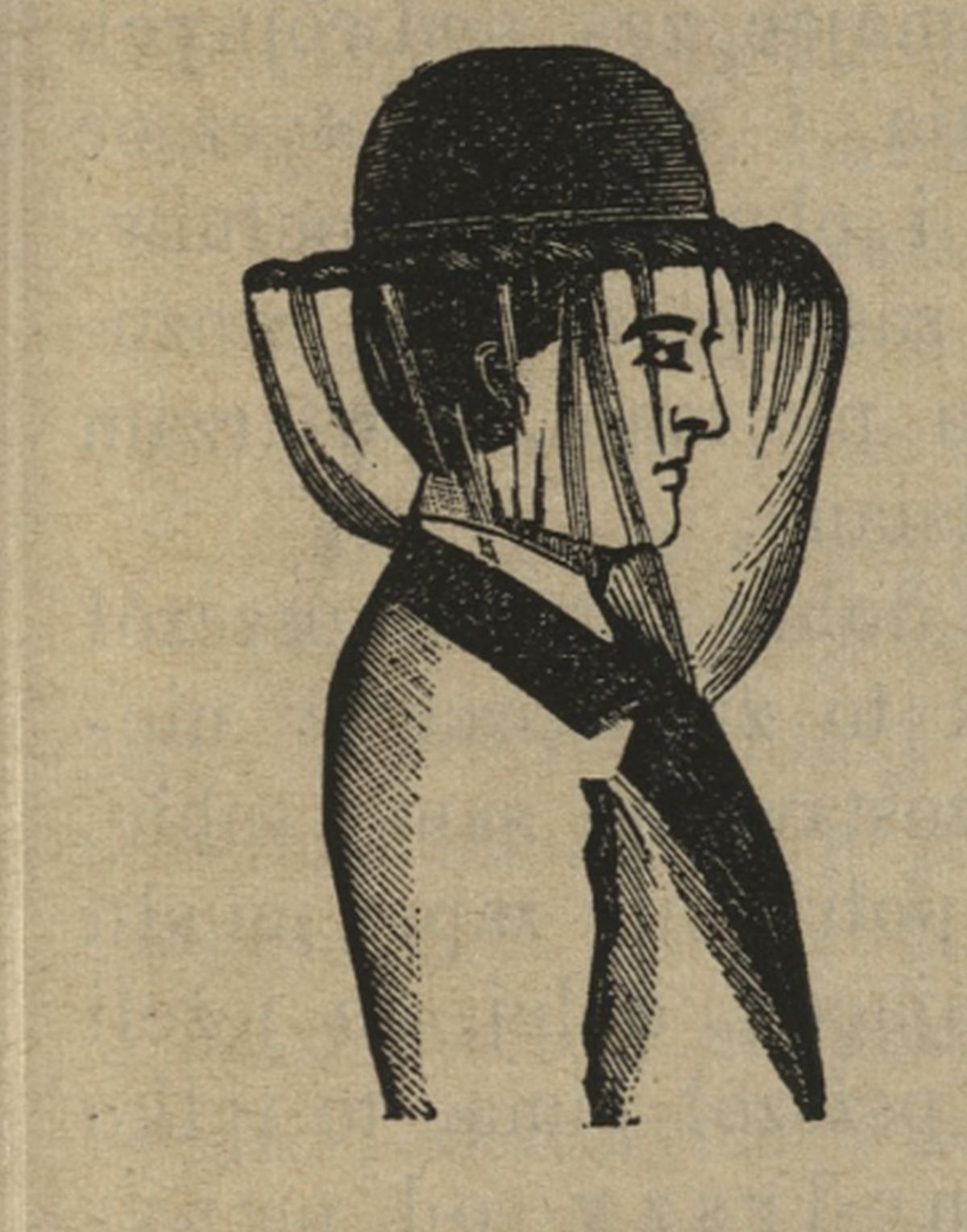 siatka ochronna dla pszczelarza Bartnik Postępowy 1884