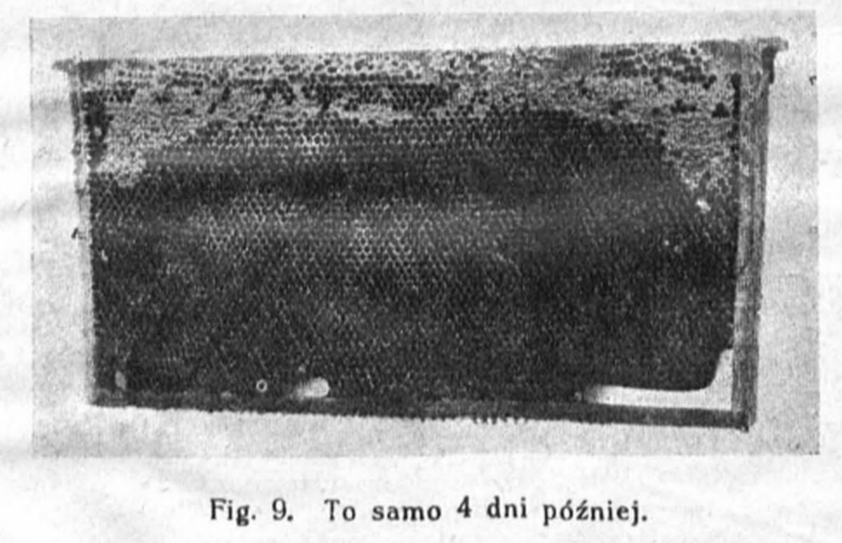 to samo 4 dni p&oacute;źniej