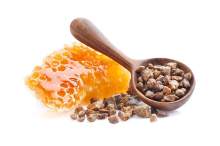 Apiterapia na problemy ludzi i zwierząt