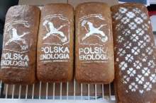 Pracowite 20 lat Stowarzyszenia Polska Ekologia