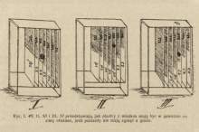 Wrzesień w pasiece (Stefan Röhrenschef, 12 miesięcy w pasiece, 1925)