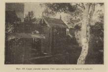 Kwiecień w pasiece (Stefan Röhrenschef, 12 miesięcy w pasiece, 1925)