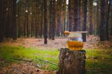 Złodziej skradł 14 kg miodu  - kogo podejrzewa policja?