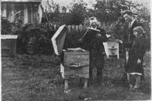 Bartnik Postępowy: Na czym właściwie polega wartość silnych w okresie zimy i wiosny rojów (1937.11)