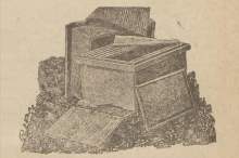 Bartnik Postępowy: Ul Dadant-Blatt (1921.02)