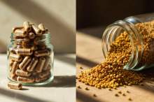 Pyłek pszczeli: kapsułki czy klasyczny - co naprawdę lepiej przyswajamy?