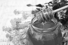 Bartnik Postępowy: Miód a witaminy (1930.08)