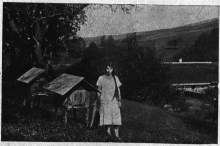 Bartnik Postępowy: Jeszcze o podkarmieniu pszczół słów kilka (1930.11)