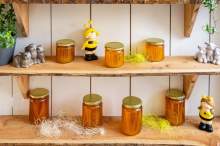 500 euro na projekt: Pszczoły – coś więcej niż tylko miód