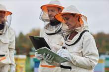 Kontrola ARiMR w pasiece. Jak wygląda i jak się przygotować, by nie stracić dotacji