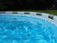 Jak odstraszyc pszczoly?