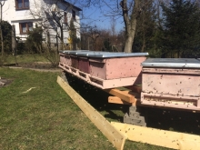 Proszę o komentarz do mojego planu rozwoju pasieki.