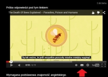 Dlaczego wymierają pszczoły?