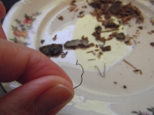 Co można znaleźć w propolisie poza propolisem?