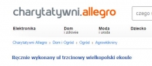 Ul trzcinowy (Aukcja WOŚP)