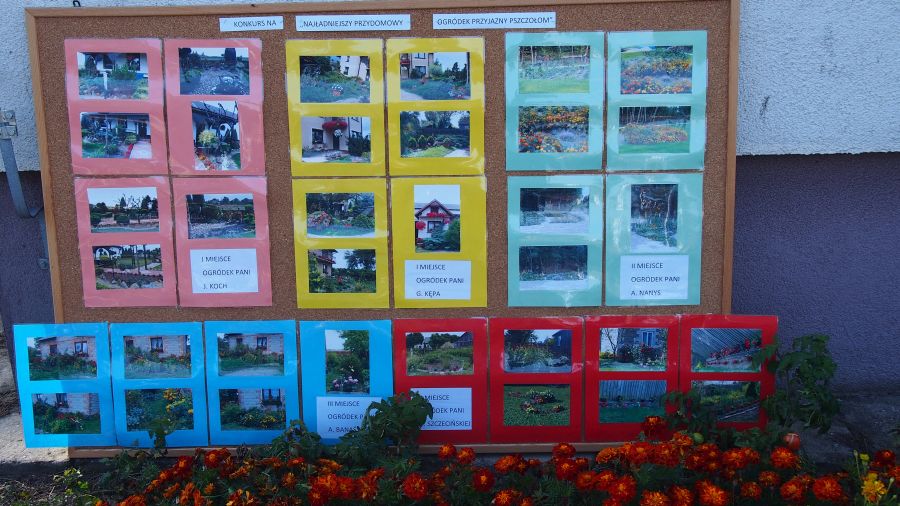 Konkurs na najładniejszy przydomowy ogródek przyjazny pszczołom. Szkolny Dzień Pszczoły - Piknik w ramach projektu Pszczoły W Szkole i akcji z Kujawskim pomagamy pszczołom.