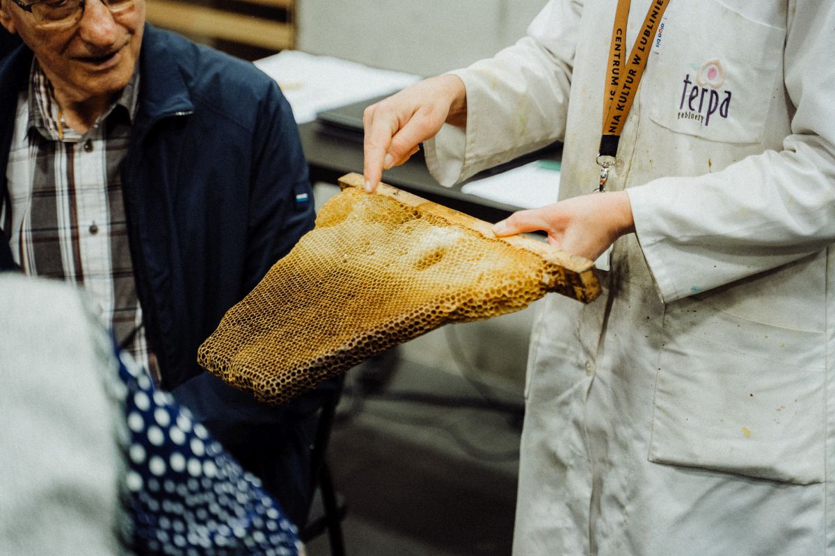 Relacja z wydarzenia pt. Festiwal Kultury Pszczelarskiej w Lublinie 2023