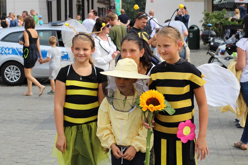 Uczestnicy parady pszczół XXIII Krakowskiego Miodobrania. Autor zdjęcia: Paweł Balana