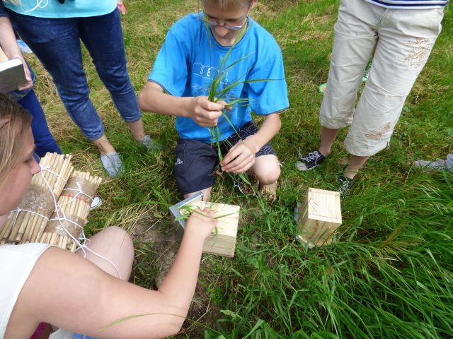 Uczniowie rozkładają budki dla trzmieli. Źródło zdjęcia: materiały przekazane przez p. Agnieszkę Gałwa.