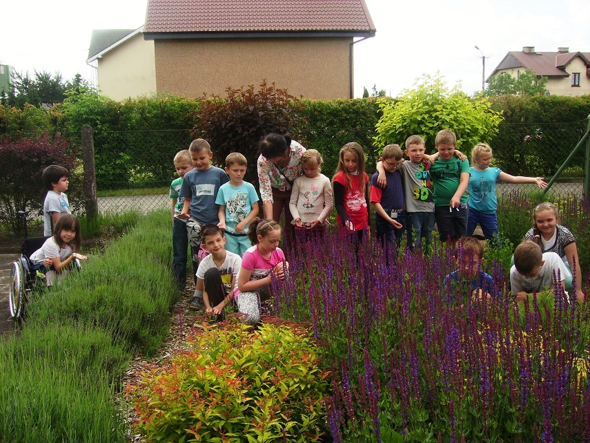 Uczniowie pierwszej klasy Szkoły Podstawowej w Hanulinie przy rabacie z szałwią. Źródło: Szkoła Podstawowa w Hanulinie.
