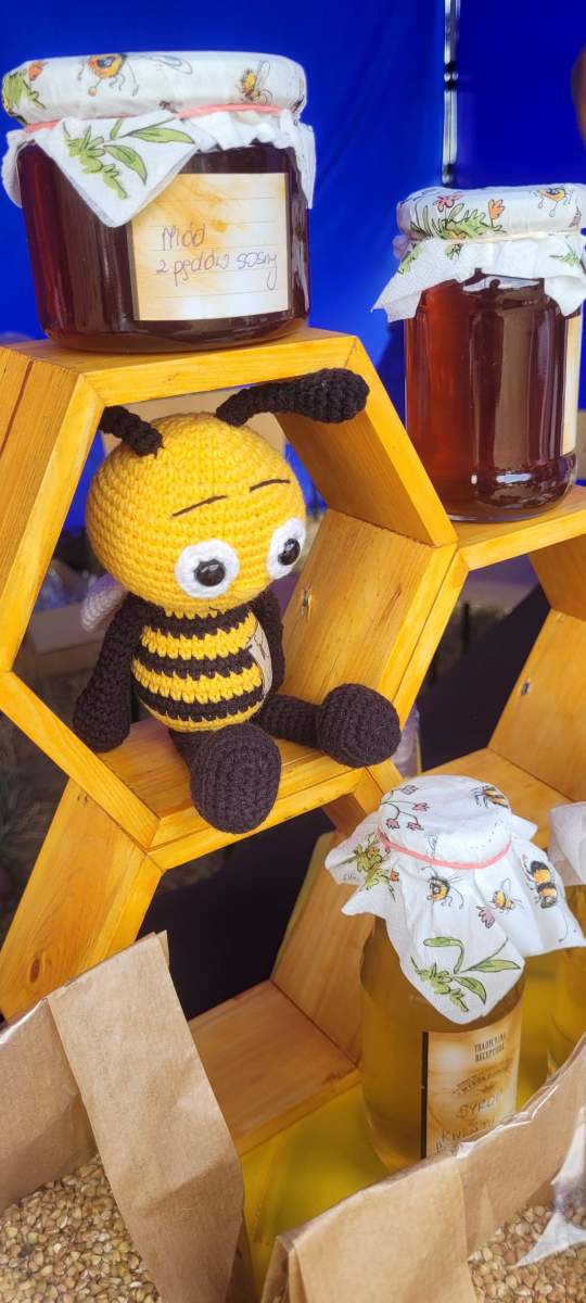 Grzyby Harasiuki 2022. Autor zdjęcia: Wacław Piędel