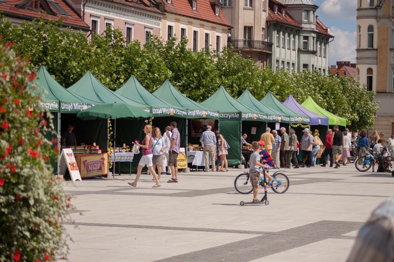 Stoiska wystawiennicze podczas wydarzenia o nazwie: VII Święto Miodu w Pszczynie. Autor zdjęcia: Kazimierz Wiśniowski