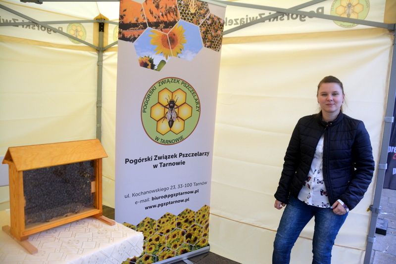 Ul z żywymi pszczołami na stoisku Pogórskiego Związku Pszczelarzy w Tarnowie podczas I Konferencji Pszczelarskiej w Brzesku (02.09.2017 r.). Autor zdjęcia: Marek Kotfis