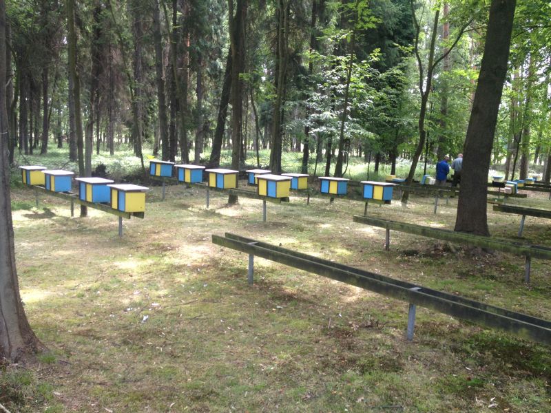 Trutowisko w Murckach.