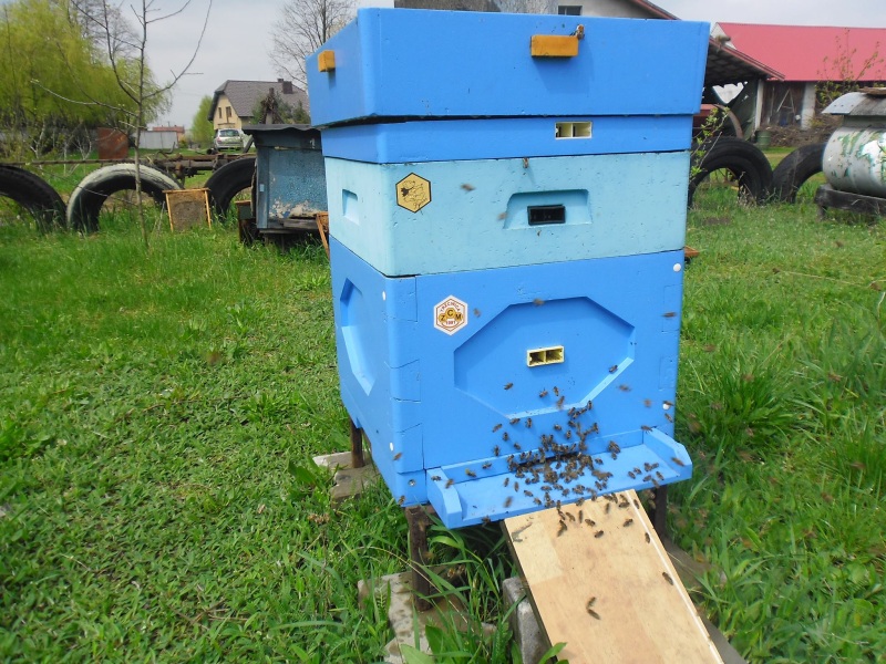 Ul styropianowy. Autor zdjęcia: Teresa Jakubowska