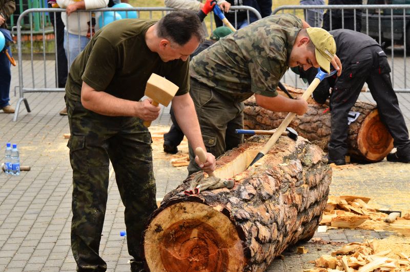 Barciowisko 2015. Autor zdjęć: Katarzyna Judycka (Pasieka u Alfreda).