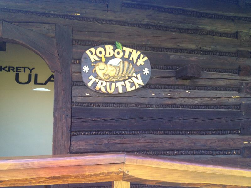 Robotnik truteń - sekrety ula.