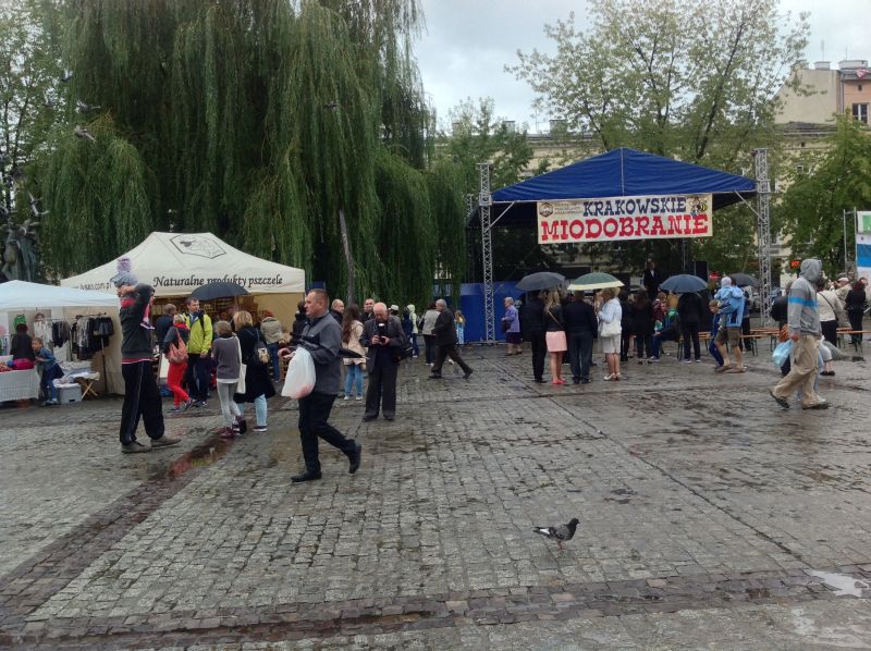 Namiot główny i stoisko firmy Łysoń. XXII Krakowskie Miodobranie