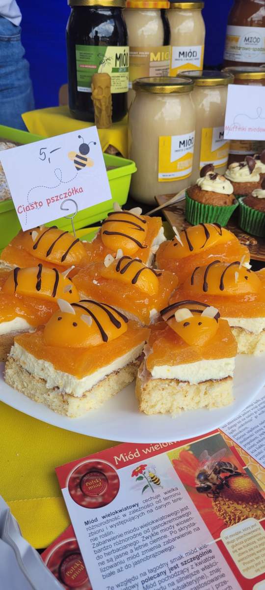 Grzyby Harasiuki 2022. Autor zdjęcia: Wacław Piędel