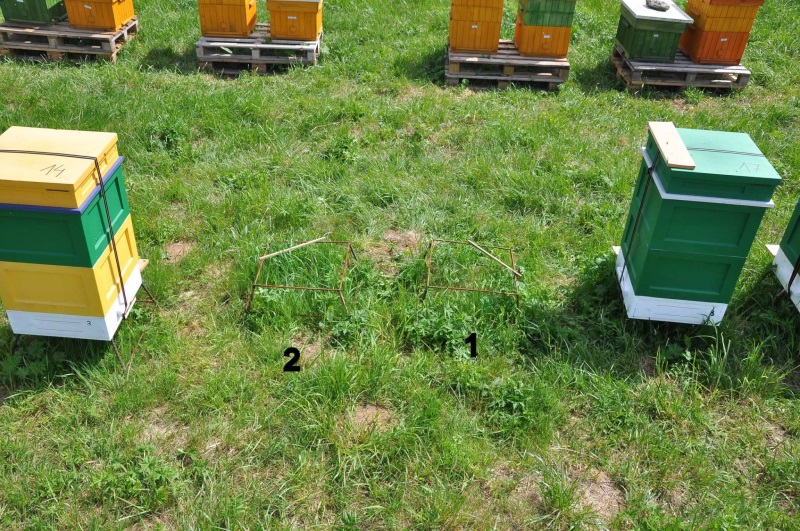 Miejsce po skradzionych ulach w okolicy Kłodzka