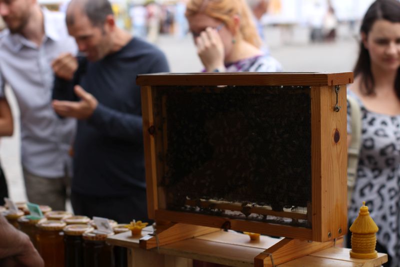 Ulik pokazowy Pasieki Eko Miody podczas XXIII Krakowskiego Miodobrania. Autor zdjęcia: Paweł Balana