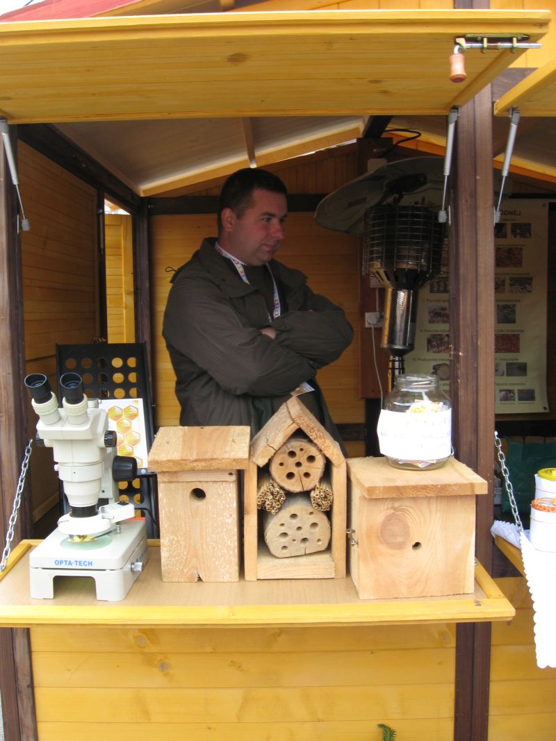 Stoisko z domkiem dla dzikich zapylaczy na II Festiwalu Miodu w Katowicach. Autor zdjęcia: Kazimierz Wiśniowski