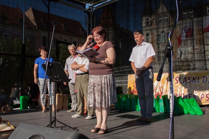 Przemówienia na scenie VII Święta Miodu w Pszczynie. Autor zdjęcia: Kazimierz Wiśniowski