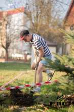 Źródło zdjęcia: Stowarzyszenie Natura i Człowiek.