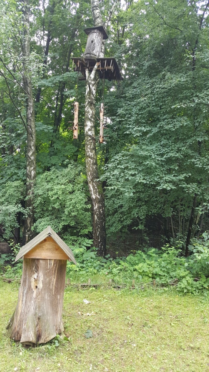 Skansen Gaj Szewczenki na Ukrainie. Autor zdjęcia: Filip Janusz