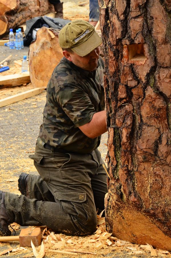 Barciowisko 2015. Autor zdjęć: Katarzyna Judycka (Pasieka u Alfreda).