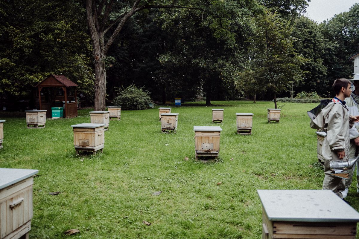 Relacja z wydarzenia pt. Festiwal Kultury Pszczelarskiej w Lublinie 2023