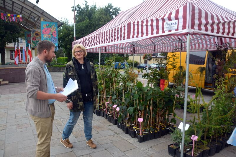 Stoisko z sadzonkami roślin miododajnych podczas I Konferencji Pszczelarskiej w Brzesku (02.09.2017 r.). Autor zdjęcia: Marek Kotfis