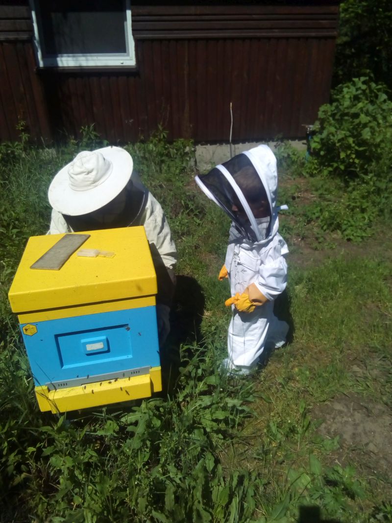 Pasieka Barbara i Edward Gołota