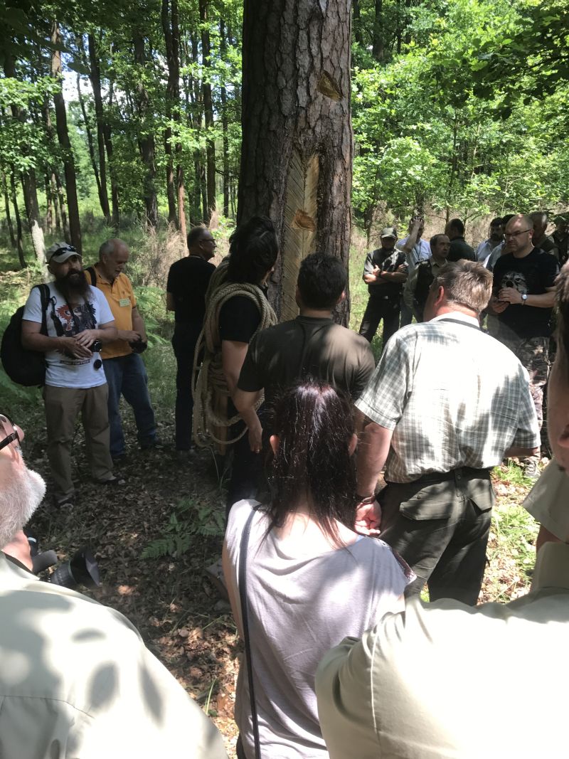 Międzynarodowa Konferencja Bartnicza pt. Dekada Polskiego Bartnictwa. Spała 2017. Autor zdjęć: Małgorzata Brendel