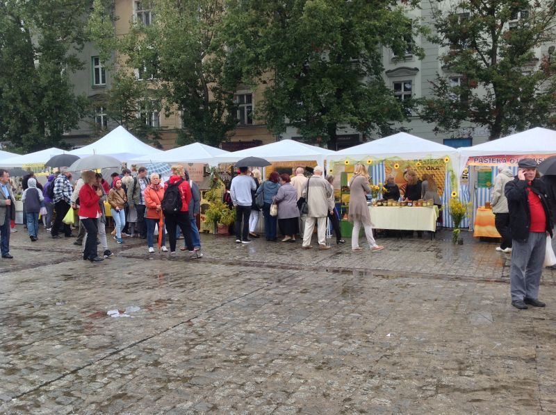 Stoiska wystawców na Placu Wolnica. XXII Krakowskie Miodobranie