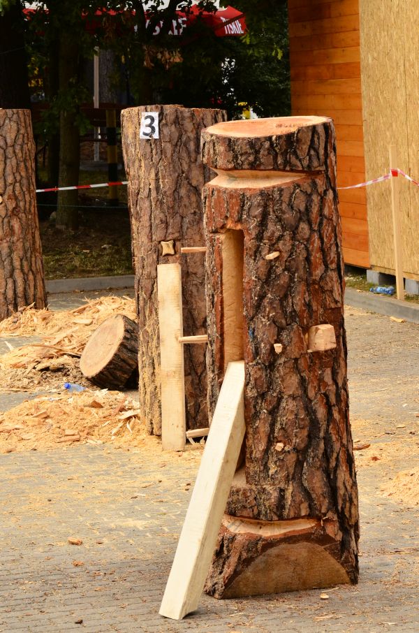 Barciowisko 2015. Autor zdjęć: Katarzyna Judycka (Pasieka u Alfreda).